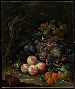 Ainda vida com frutas, folhagens e insetos, c.1669